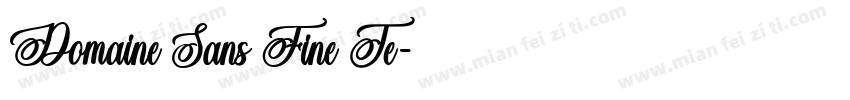 Domaine Sans Fine Te字体转换